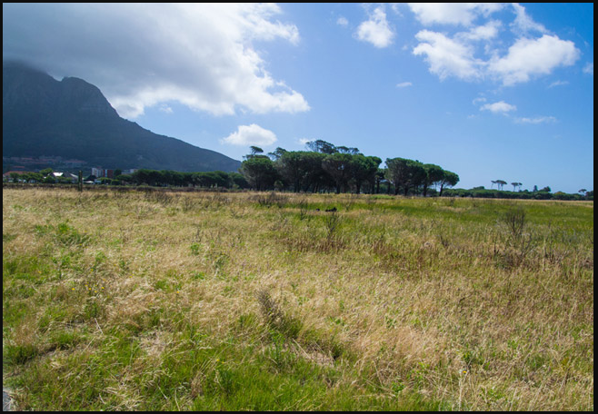 rondebosch-common-camp-ground-road-rondebosch-south-african